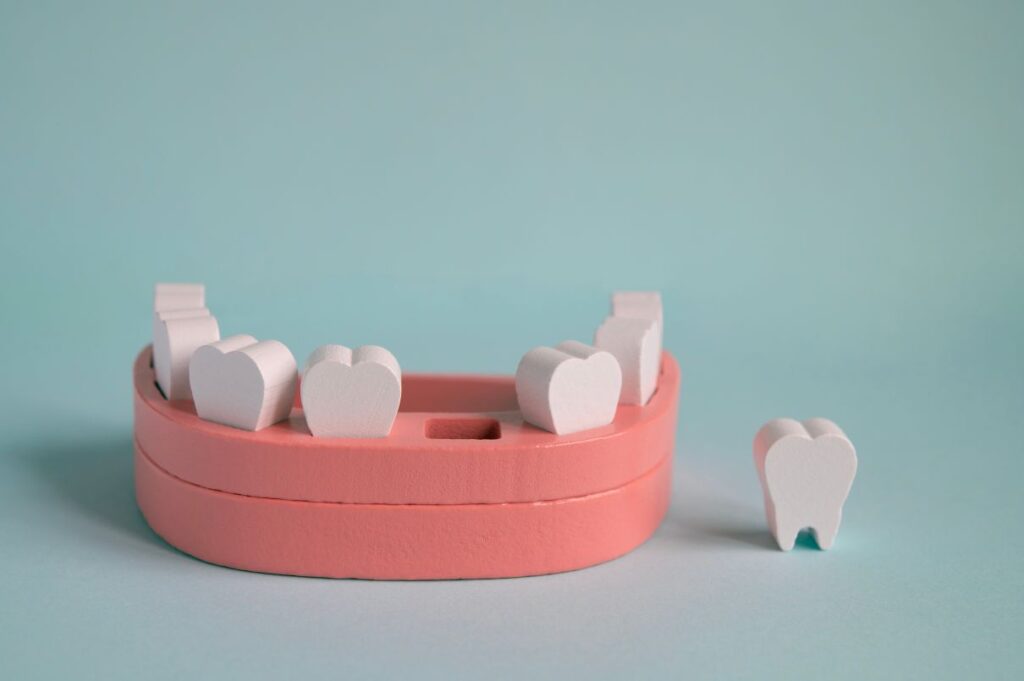 A wooden model of the teeth